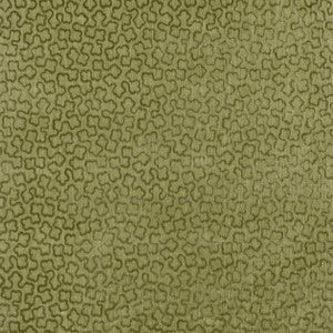 Trefolia Velvet Ivy AW9251 by Anna French Designer Fabric