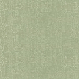 Regia Willow AW9214 by Anna French Designer Fabric