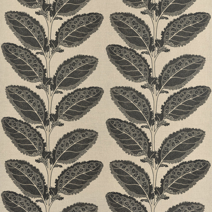Lacinato Basalt Black F912038 by Thibaut Fabric Thibaut Fabric Lacinato Basalt Black F912038Fabric Vista </p><p>Repeat: V: 19.50" (49.53 cm) 54.00" (137.16 cm) - Fabric Carolina -