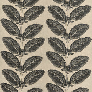 Lacinato Basalt Black F912038 by Thibaut Designer Fabric