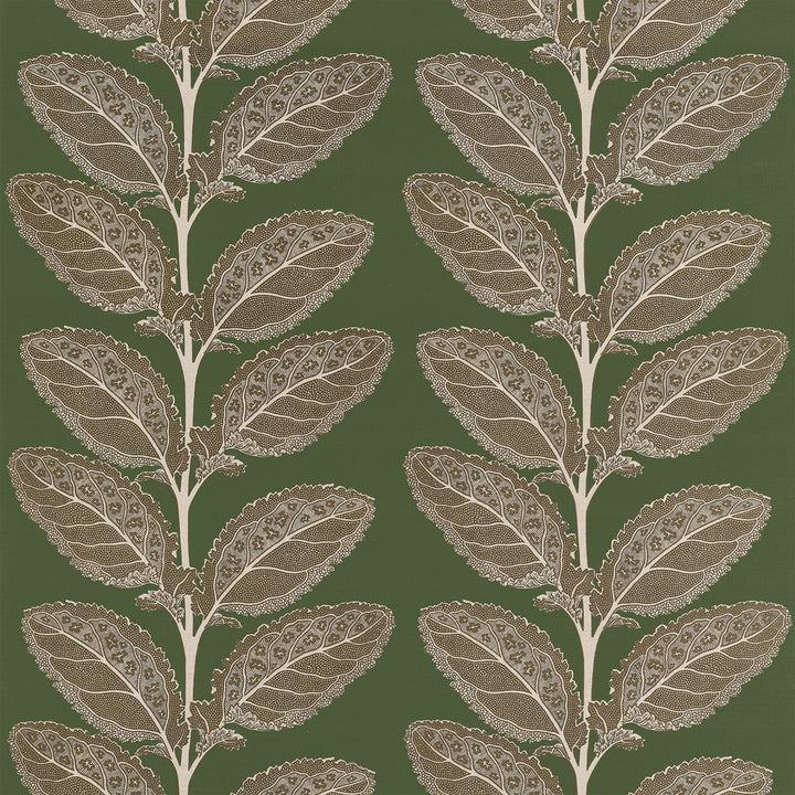 Lacinato Wild Sage F912040 by Thibaut Fabric Thibaut Fabric Lacinato Wild Sage F912040Fabric Vista </p><p>Repeat: V: 19.50" (49.53 cm) 54.00" (137.16 cm) - Fabric Carolina -