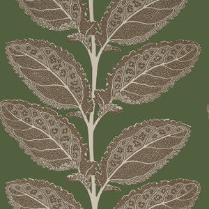 Lacinato Wild Sage T12040 by Thibaut Designer Wallpaper