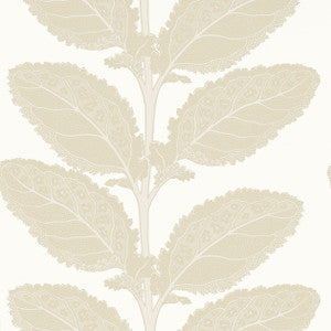 Lacinato Birch T12041 by Thibaut Designer Wallpaper
