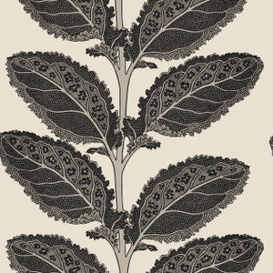 Lacinato Basalt Black T12038 by Thibaut Designer Wallpaper