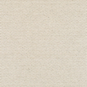 Pollux Flax W81912 by Thibaut Designer Fabric