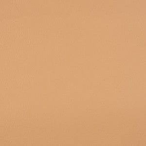10200-0007 Capriccio Toast by Sunbrella Designer Fabric