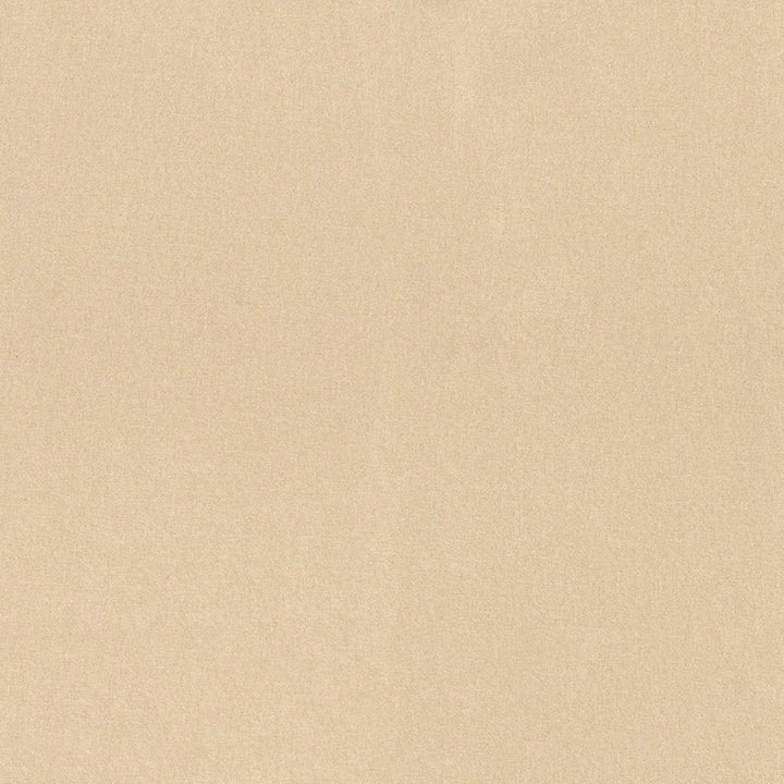 F5789 Cream by Greenhouse Designer Fabric - 100% Polyester China 100000 None 56" - Swanky Fabrics -