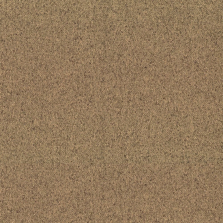 F5798 Hemp by Greenhouse Designer Fabric - 100% Polyester China 200000 None 56" - Swanky Fabrics -