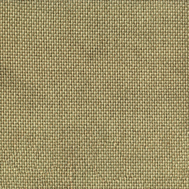 F5855 Lichen by Greenhouse Designer Fabric - 100% Polyester China 50000 None 57" - Swanky Fabrics -