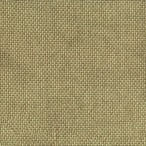 F5855 Lichen by Greenhouse Designer Fabric