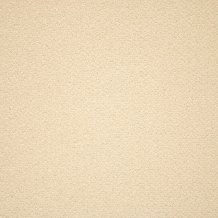 F5905 Snow by Greenhouse Designer Fabric - 100% Polyester China 25000 None 55" - Swanky Fabrics -