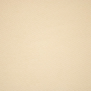 F5905 Snow by Greenhouse Designer Fabric