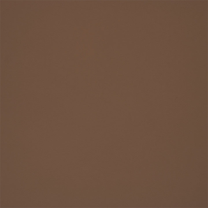 F5942 Latte by Greenhouse Designer Fabric - 100% Pvc Polyester, Backing: 100% Polyester China 150000 None 54" - Swanky Fabrics -