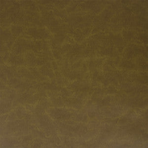 F5981 Grass by Greenhouse Designer Fabric