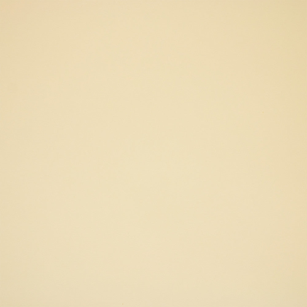 F5983 White by Greenhouse Designer Fabric - 100% Pvc Polyester, Backing: 100% Polyester China 100000 UTR 54" - Swanky Fabrics -