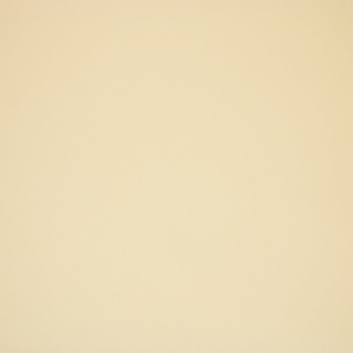 F5983 White by Greenhouse Designer Fabric - 100% Pvc Polyester, Backing: 100% Polyester China 100000 UTR 54" - Swanky Fabrics -