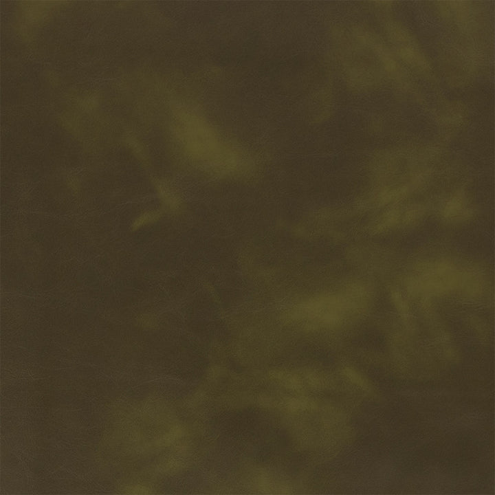 F5993 Forest by Greenhouse Designer Fabric - 100% Pvc Polyester, Backing: 100% Polyester China 100000 UTR 54" - Swanky Fabrics -