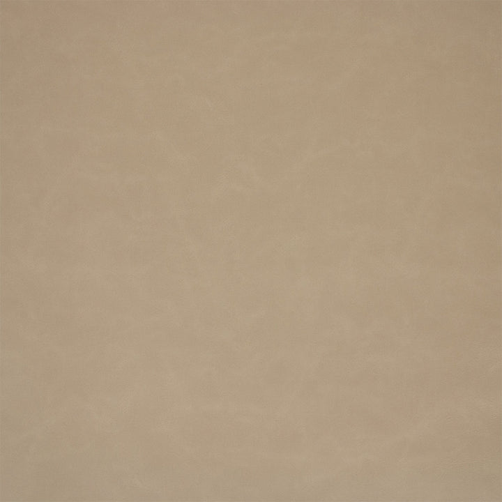 F6001 Gray by Greenhouse Designer Fabric - 100% Pvc Polyester, Backing: 100% Polyester China 100000 UTR 54" - Swanky Fabrics -