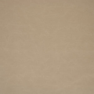 F6001 Gray by Greenhouse Designer Fabric