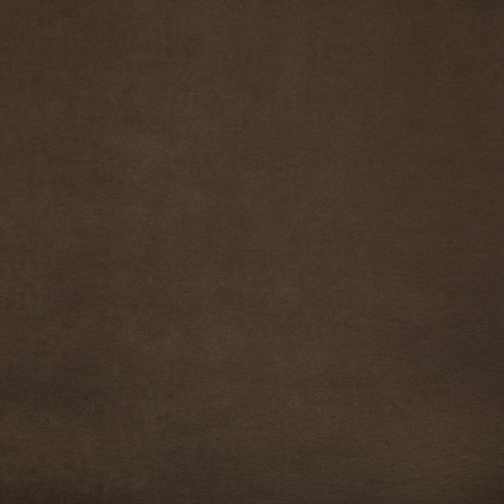 F6048 Tea by Greenhouse Designer Fabric - 100% Polyester China 40000 None 55" - Swanky Fabrics -