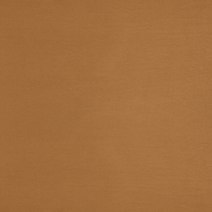 F6052 Radiance by Greenhouse Designer Fabric - 100% Polyester China 40000 None 55" - Swanky Fabrics -