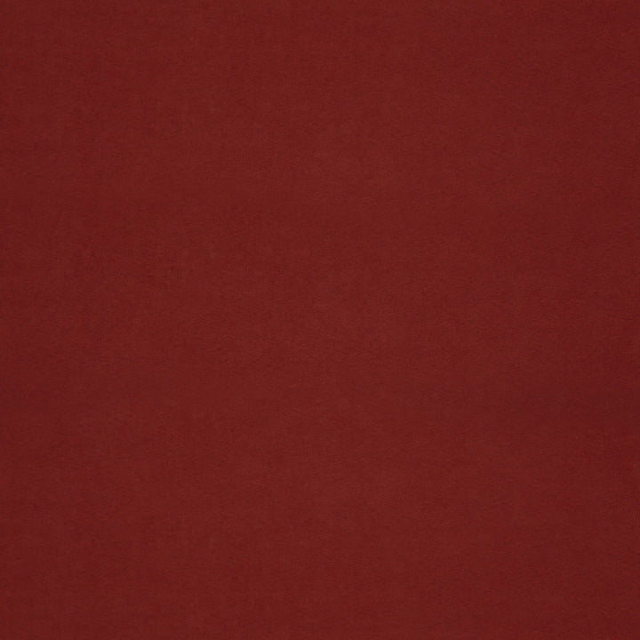F6056 Rubi by Greenhouse Designer Fabric - 100% Polyester China 40000 None 55" - Swanky Fabrics -