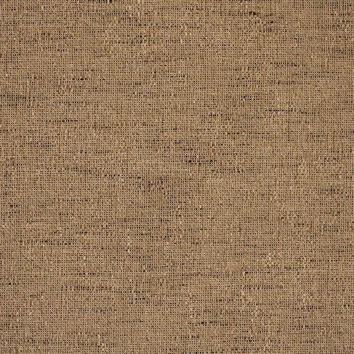 F6108 Driftwood by Greenhouse Designer Fabric - 100% Polyester China 15000 None 54" - Swanky Fabrics -
