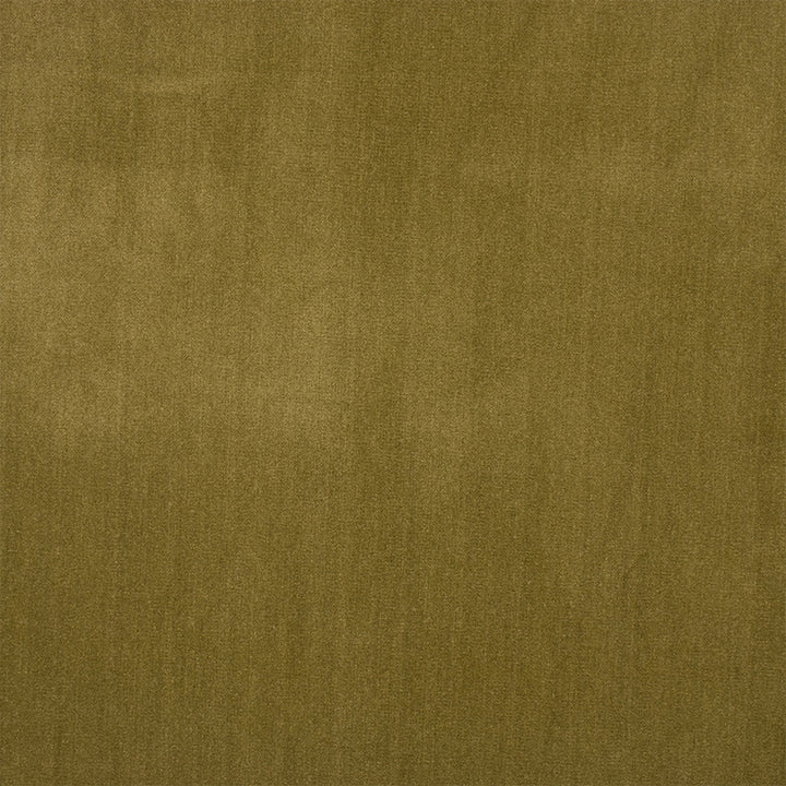 F6135 Alpine by Greenhouse Designer Fabric - 100% Polyester China 100000 None 56" - Swanky Fabrics -