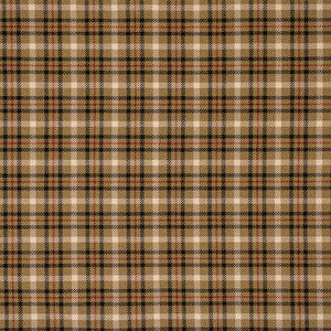 F6181 Black/Tan by Greenhouse Designer Fabric