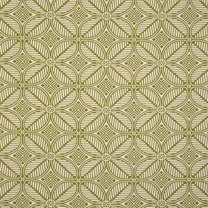 F6236 Green by Greenhouse Designer Fabric