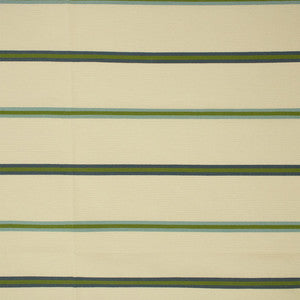 F6240 Pool by Greenhouse Designer Fabric
