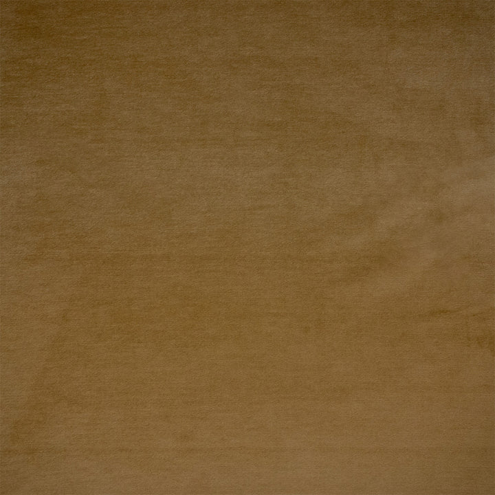 F6367 Vicuna by Greenhouse Designer Fabric - 100% Polyester China 100000 None 54" - Swanky Fabrics -
