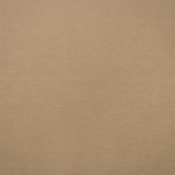 F6373 Bisque by Greenhouse Designer Fabric - 100% Polyester China 100000 None 54" - Swanky Fabrics -