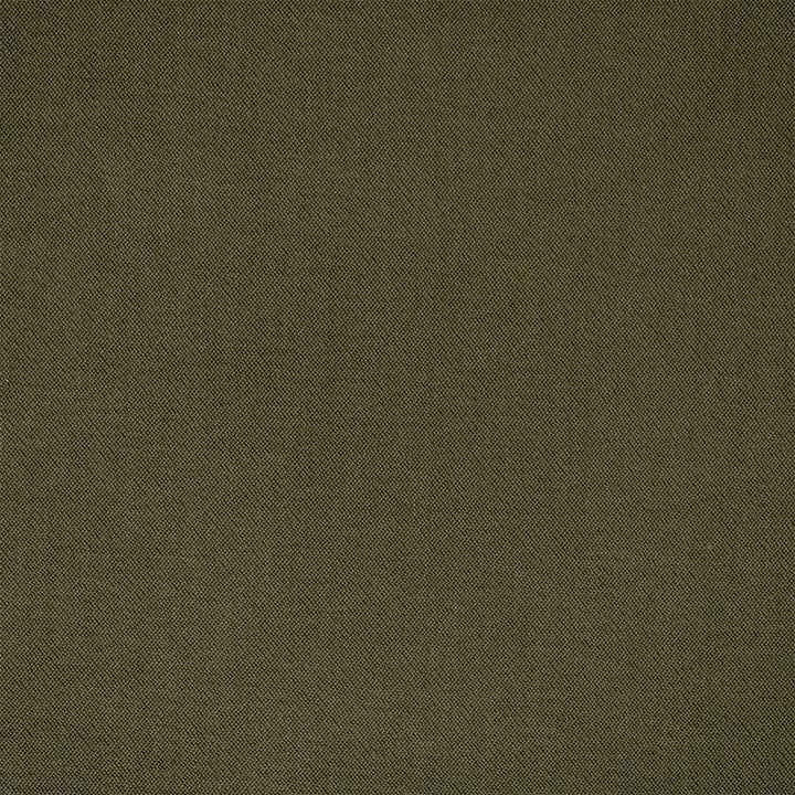 F6399 Moss by Greenhouse Designer Fabric - 100% Polyester China 100000 None 54" - Swanky Fabrics -