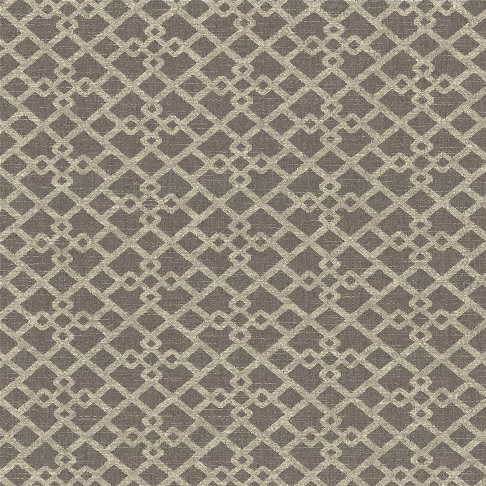 Favored Greystone by Kasmir Designer Fabric 1466 60% Polyester
40% Cotton
 INDIA 50,000 Wyzenbeek Double Rubs </p><p>Repeat: Horizontal: 13 6/8 inches and Vertical: 6 4/8 inches 54 - Swanky Fabrics -