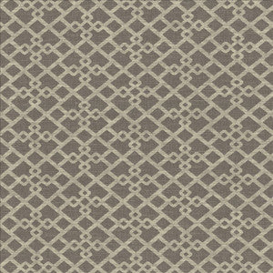 Favored Greystone by Kasmir Designer Fabric