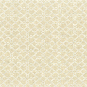Favored Linen by Kasmir Designer Fabric