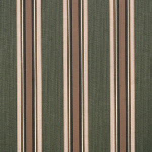 4801 Emblem Fern by Sunbrella Designer Fabric