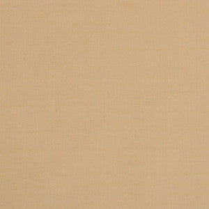 Silk II Ahmadabad by Mitchell Designer Fabric