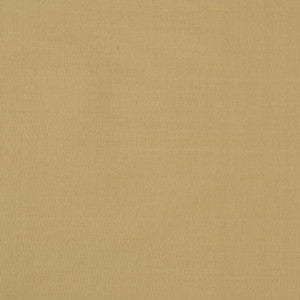 Silk II Alwar by Mitchell Designer Fabric