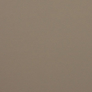 Force Doeskin by Mitchell Designer Fabric