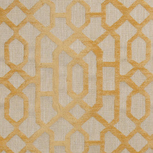 Parkview Coin by Mitchell Designer Fabric
