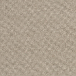 Comfy Light Grey by Mitchell Designer Fabric