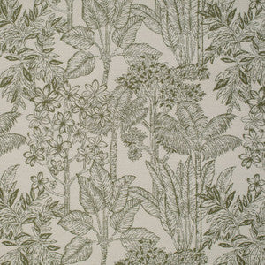 Breeze Green by Mitchell Designer Fabric