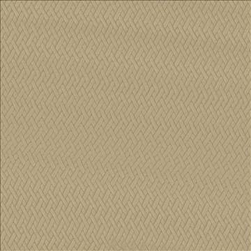 Fidelio Camel by Kasmir Designer Fabric 5093 100% Polyester CHINA 60,000 Wyzenbeek Double Rubs H: 1 inches, V: 1 inches 56 - Swanky Fabrics - Kasmir