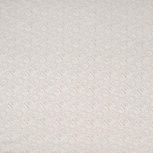 Penthouse View Silver by Carole Designer Fabric