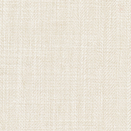 Fall Point Sand Dollar by Carole Designer Fabric On POint 43% Polyester, 19% Linen, 19% Cotton, 19% Rayon INDIA 100,000 Wyzenbeek Double Rubs None 54" - Swanky Fabrics -
