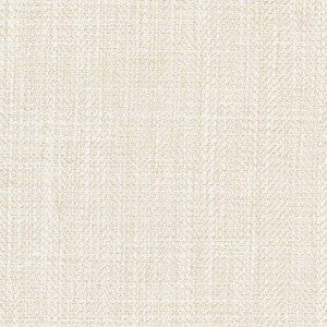 Fall Point Sand Dollar by Carole Designer Fabric