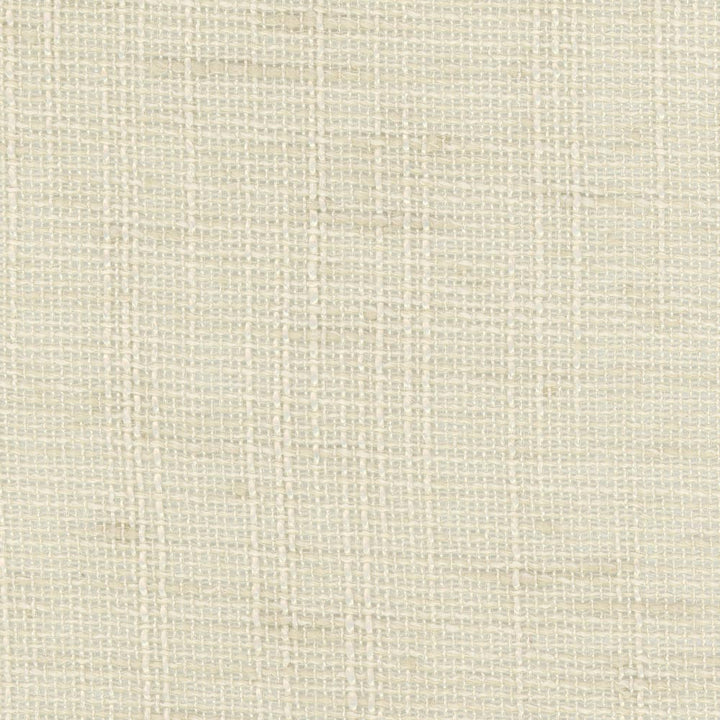 Slow Down Chardonnay by Carole Designer Fabric Come Home 100% Polyester India N/A Horizontal: 0 and Vertical: 0 54 - Swanky Fabrics -