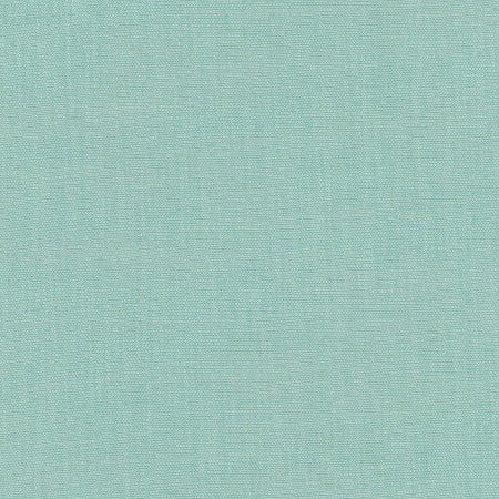 Athlete Spa by Carole Designer Fabric Celadon 60% Cotton, 40% Polyester India Passes 50,000 Double Rubs Wyzenbeek None 55" - Swanky Fabrics -